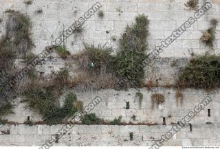 wall stones overgrown 0002